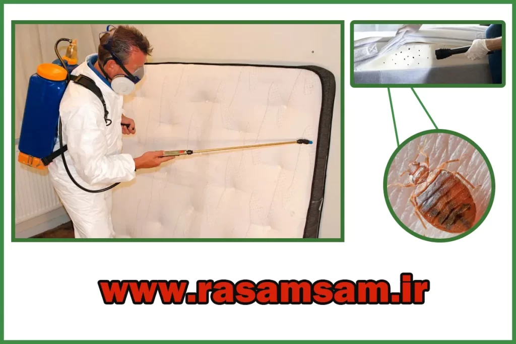 فروشگاه سم ساس